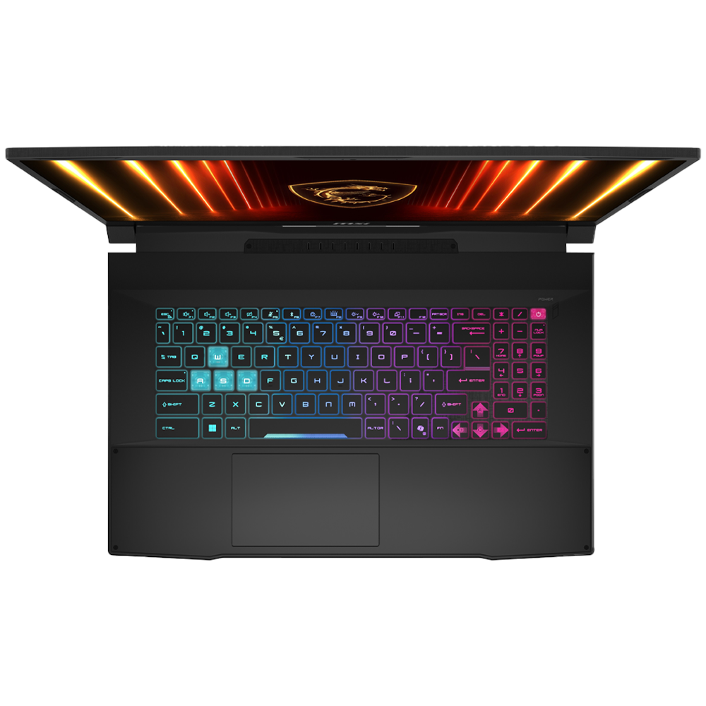 MSI 17.3