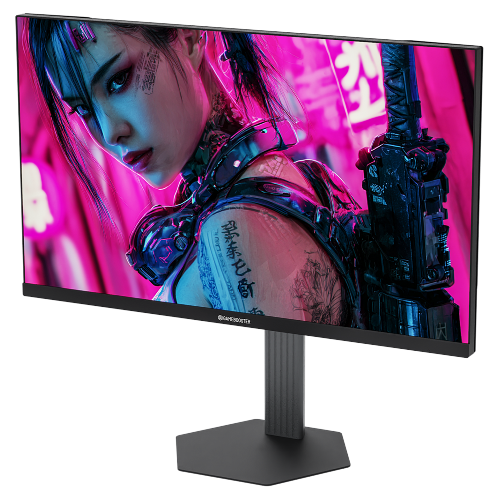 GAMEBOOSTER 24.5