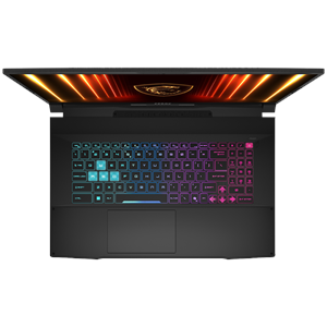 MSI 17.3