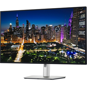 DELL 31.5