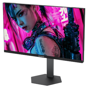 GAMEBOOSTER 24.5