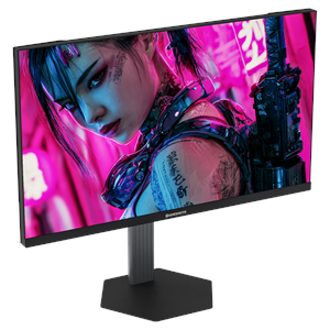 GAMEBOOSTER 24.5
