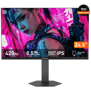 GAMEBOOSTER 24.5