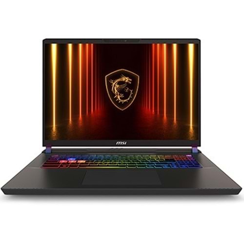 MSI 17