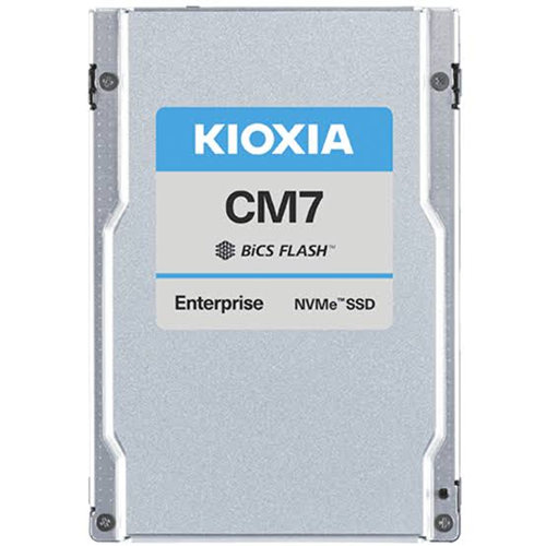 KIOXIA 3.84TB KCMYXRUG3T84 10000-4900MB/s Enterprise U3 NVME Gen5 Disk
