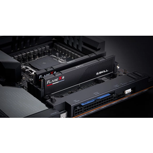 GSKILL 32GB (2X 16GB) DDR5 6000MHZ CL36 DUAL KIT PC RAM FLARE X5 F5-6000J3636F16GX2-FX5