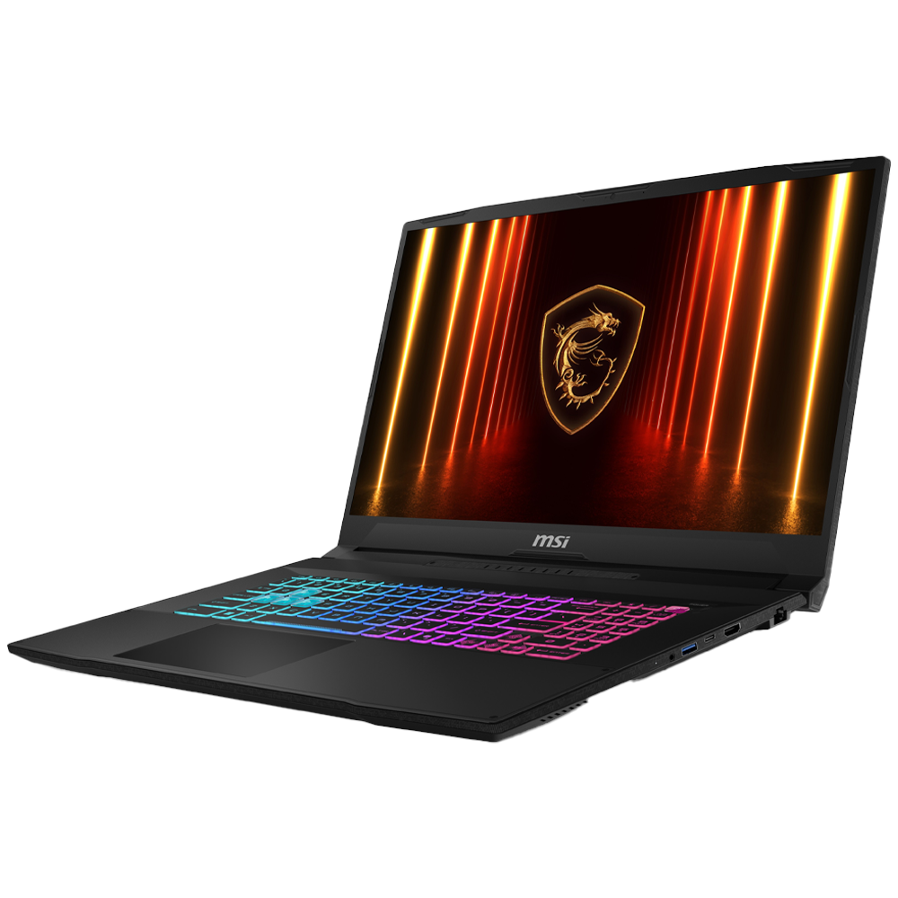 MSI 17.3
