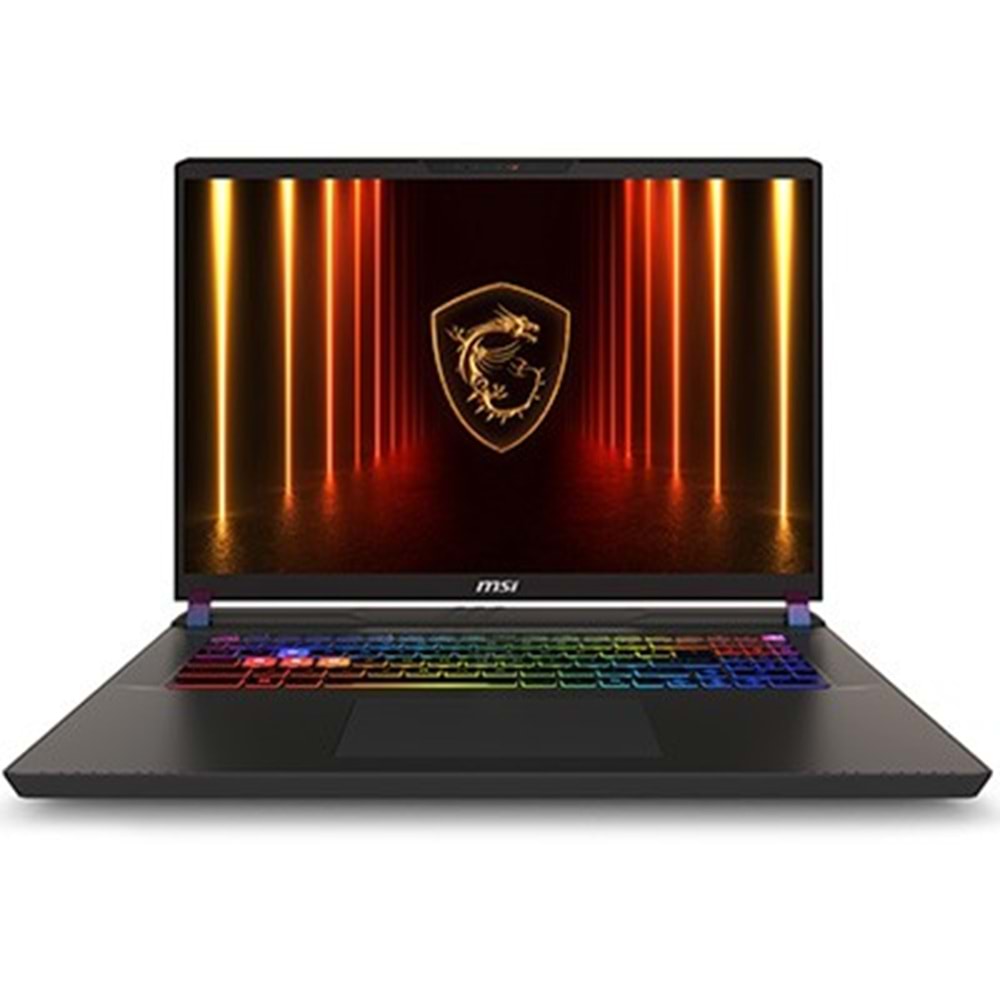 MSI 17