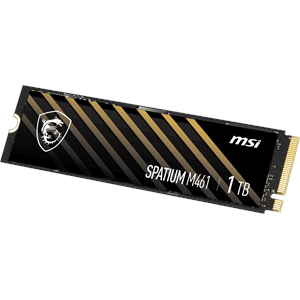 MSI 1TB SPATIUM M461 5000-3200MB/s M2 NVME GEN4 Disk