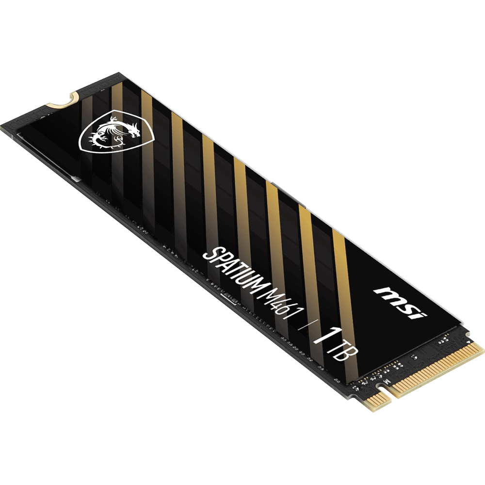 MSI 1TB SPATIUM M461 5000-3200MB/s M2 NVME GEN4 Disk