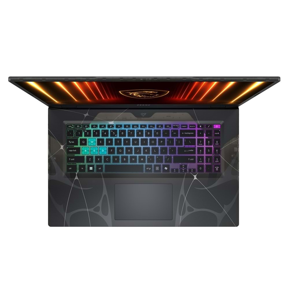 MSI 17.3