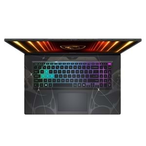 MSI 17.3