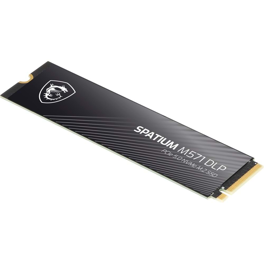 MSI 2TB SPATIUM M571 DLP 14500-11000 M2 NVME GEN5 Disk