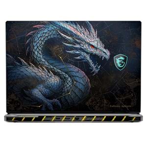 MSI 18