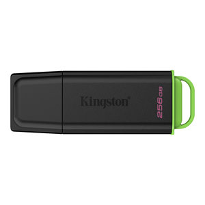 KINGSTON 256GB DTXG2/256GB DataTraveler Exodia USB 3.2 Siyah/Yeşil USB Bellek