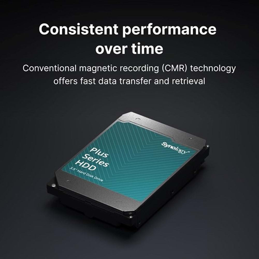 SYNOLOGY 12TB 3.5