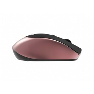 INCA IWM-396GT Kablosuz 1600dpi Gold Mouse