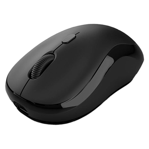 INCA IWM-289T Kablosuz Siyah Mouse