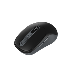 FRISBY FM-296WM Kablosuz Optik Mouse