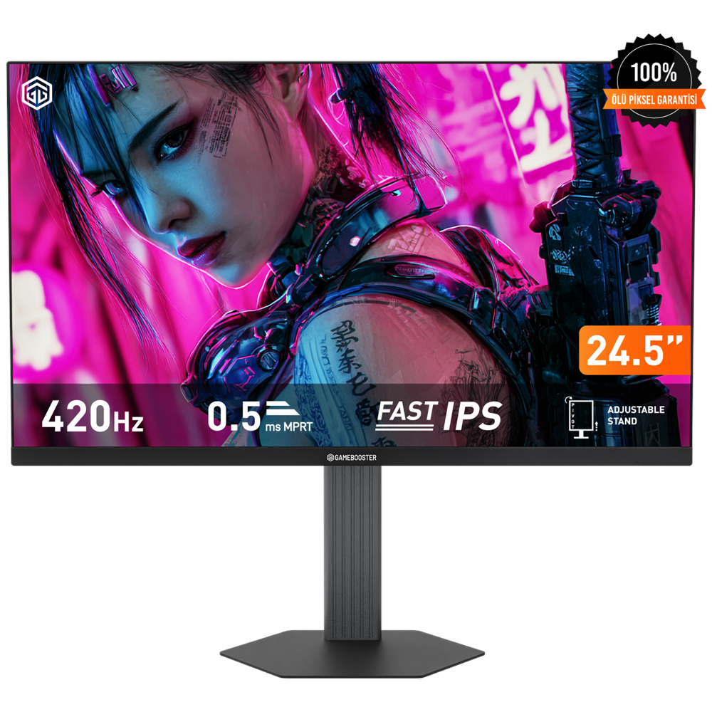 GAMEBOOSTER 24.5