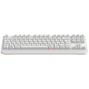 GAMEBOOSTER G75 ELYA Rainbow Aydınlatmalı Beyaz TKL Membrane Oyun Klavyesi