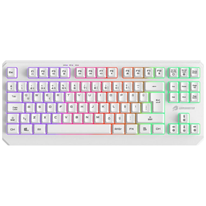 GAMEBOOSTER G75 ELYA Rainbow Aydınlatmalı Beyaz TKL Membrane Oyun Klavyesi