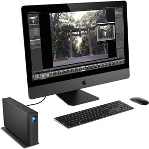 LACIE 24TB d2 Professional STHA24000800 Thunderbolt Harici Disk
